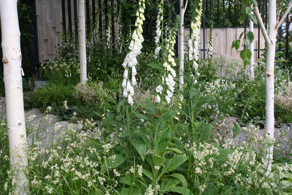 natuurlijke tuin